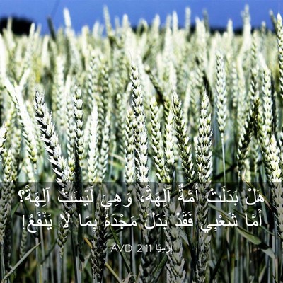Picture 03 - إِرْمِيَا 2:11 AVD - هَلْ بَدَلَتْ أُمَّةٌ - Bible Verse Picture