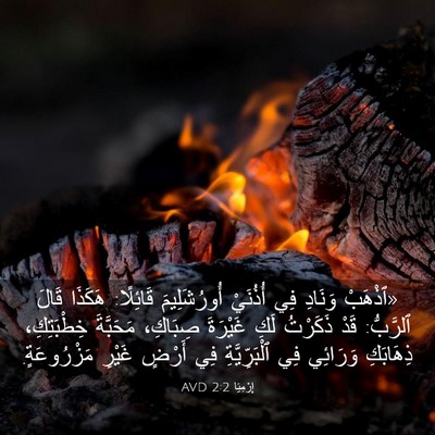 Picture 03 - إِرْمِيَا 2:2 AVD - «ٱذْهَبْ وَنَادِ فِي - Bible Verse Picture