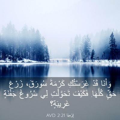 Picture 03 - إِرْمِيَا 2:21 AVD - وَأَنَا قَدْ غَرَسْتُكِ - Bible Verse Picture