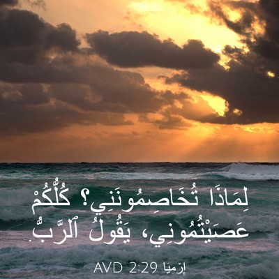 Picture 03 - إِرْمِيَا 2:29 AVD - لِمَاذَا تُخَاصِمُونَنِي؟ - Bible Verse Picture