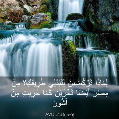 Picture 03 - إِرْمِيَا 2:36 AVD - لِمَاذَا تَرْكُضِينَ - Bible Verse Picture