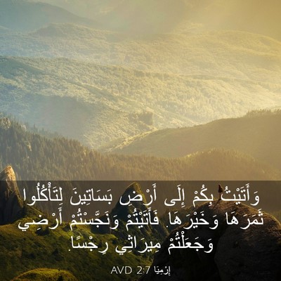 Picture 03 - إِرْمِيَا 2:7 AVD - وَأَتَيْتُ بِكُمْ إِلَى - Bible Verse Picture