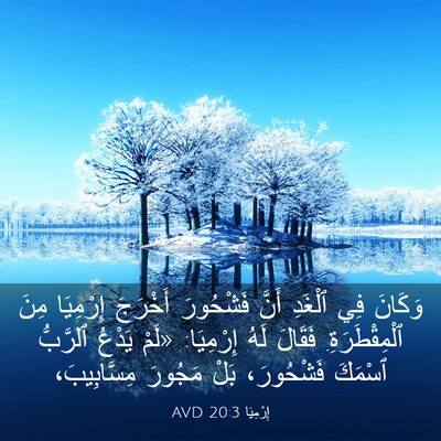 Picture 03 - إِرْمِيَا 20:3 AVD - وَكَانَ فِي ٱلْغَدِ أَنَّ - Bible Verse Picture