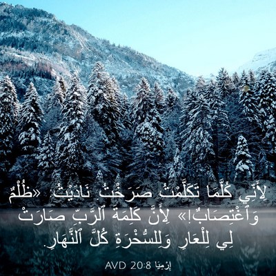 Picture 03 - إِرْمِيَا 20:8 AVD - لِأَنِّي كُلَّمَا - Bible Verse Picture