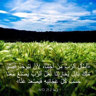 Picture 03 - إِرْمِيَا 21:2 AVD - «ٱسْأَلِ ٱلرَّبَّ مِنْ - Bible Verse Picture