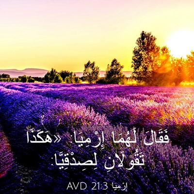 Picture 03 - إِرْمِيَا 21:3 AVD - فَقَالَ لَهُمَا إِرْمِيَا: - Bible Verse Picture