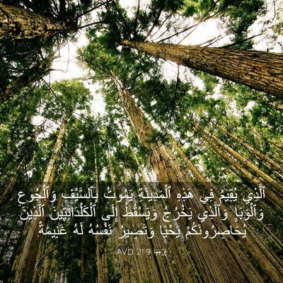 Picture 03 - إِرْمِيَا 21:9 AVD - ٱلَّذِي يُقِيمُ فِي هَذِهِ - Bible Verse Picture
