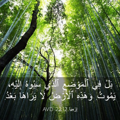 Picture 03 - إِرْمِيَا 22:12 AVD - بَلْ فِي ٱلْمَوْضِعِ - Bible Verse Picture