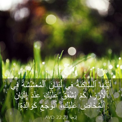 Picture 03 - إِرْمِيَا 22:23 AVD - أَيَّتُهَا ٱلسَّاكِنَةُ - Bible Verse Picture