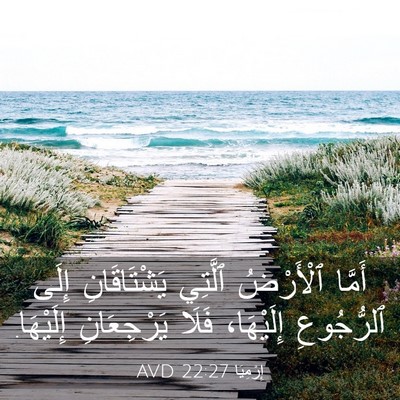 Picture 03 - إِرْمِيَا 22:27 AVD - أَمَّا ٱلْأَرْضُ ٱلَّتِي - Bible Verse Picture