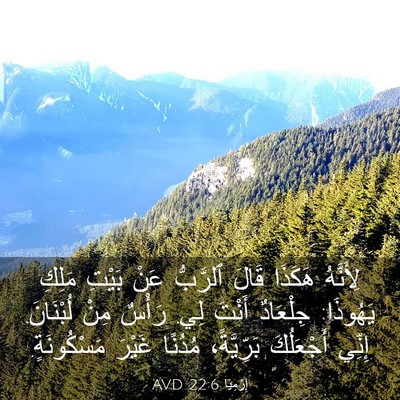 Picture 03 - إِرْمِيَا 22:6 AVD - لِأَنَّهُ هَكَذَا قَالَ - Bible Verse Picture