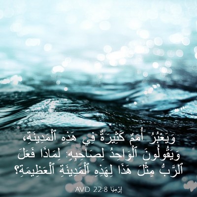 Picture 03 - إِرْمِيَا 22:8 AVD - وَيَعْبُرُ أُمَمٌ - Bible Verse Picture