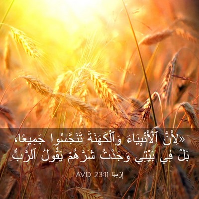 Picture 03 - إِرْمِيَا 23:11 AVD - «لِأَنَّ ٱلْأَنْبِيَاءَ - Bible Verse Picture