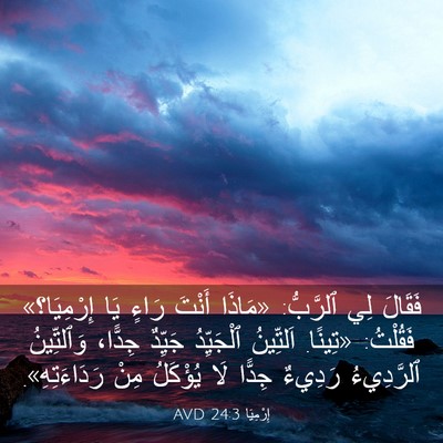 Picture 03 - إِرْمِيَا 24:3 AVD - فَقَالَ لِي ٱلرَّبُّ: - Bible Verse Picture