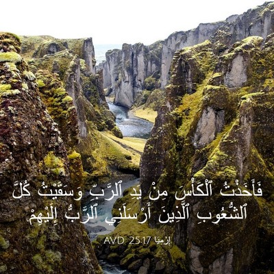 Picture 03 - إِرْمِيَا 25:17 AVD - فَأَخَذْتُ ٱلْكَأْسَ مِنْ - Bible Verse Picture