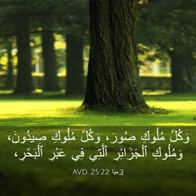 Picture 03 - إِرْمِيَا 25:22 AVD - وَكُلَّ مُلُوكِ صُورَ، - Bible Verse Picture