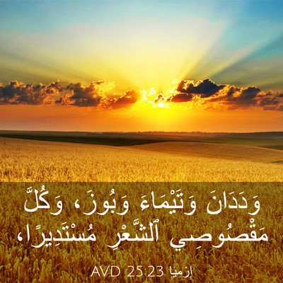 Picture 03 - إِرْمِيَا 25:23 AVD - وَدَدَانَ وَتَيْمَاءَ - Bible Verse Picture