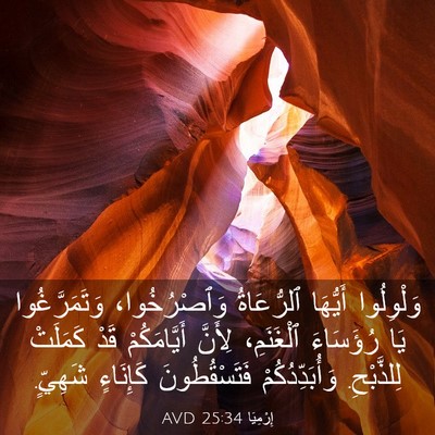 Picture 03 - إِرْمِيَا 25:34 AVD - وَلْوِلُوا أَيُّهَا - Bible Verse Picture