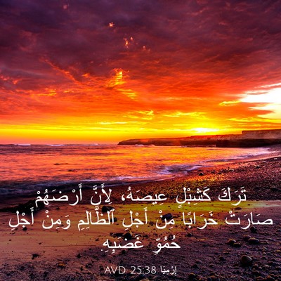 Picture 03 - إِرْمِيَا 25:38 AVD - تَرَكَ كَشِبْلٍ عِيصَهُ، - Bible Verse Picture