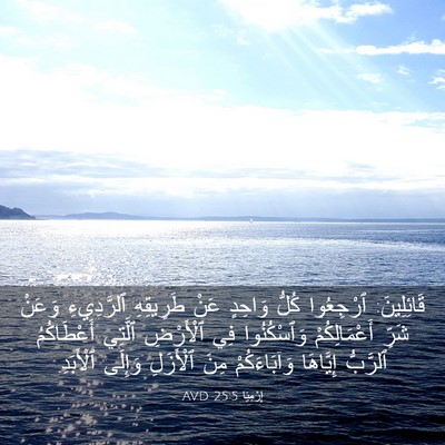 Picture 03 - إِرْمِيَا 25:5 AVD - قَائِلِينَ: ٱرْجِعُوا - Bible Verse Picture