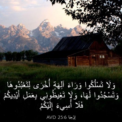 Picture 03 - إِرْمِيَا 25:6 AVD - وَلَا تَسْلُكُوا وَرَاءَ - Bible Verse Picture