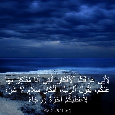 Picture 03 - إِرْمِيَا 29:11 AVD - لِأَنِّي عَرَفْتُ - Bible Verse Picture