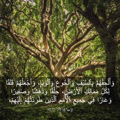 Picture 03 - إِرْمِيَا 29:18 AVD - وَأُلْحِقُهُمْ - Bible Verse Picture