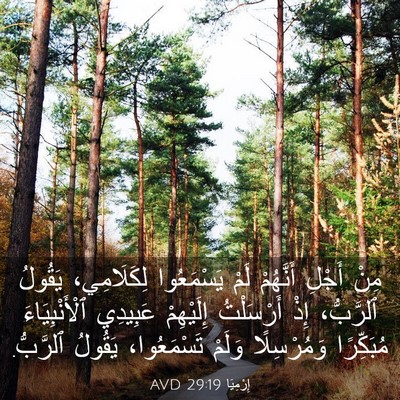 Picture 03 - إِرْمِيَا 29:19 AVD - مِنْ أَجْلِ أَنَّهُمْ لَمْ - Bible Verse Picture