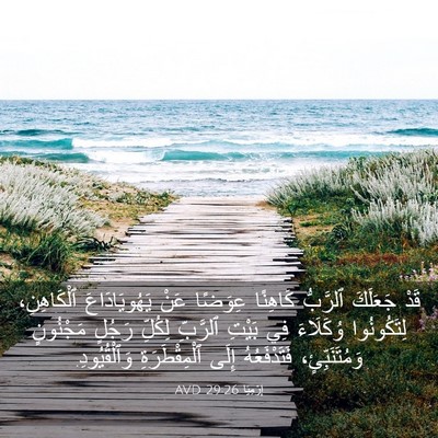 Picture 03 - إِرْمِيَا 29:26 AVD - قَدْ جَعَلَكَ ٱلرَّبُّ - Bible Verse Picture