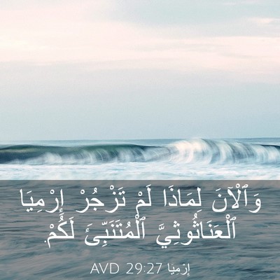 Picture 03 - إِرْمِيَا 29:27 AVD - وَٱلْآنَ لِمَاذَا لَمْ - Bible Verse Picture