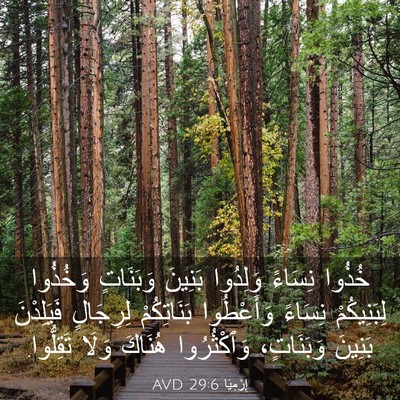 Picture 03 - إِرْمِيَا 29:6 AVD - خُذُوا نِسَاءً وَلِدُوا - Bible Verse Picture