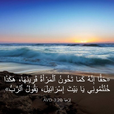 Picture 03 - إِرْمِيَا 3:20 AVD - «حَقًّا إِنَّهُ كَمَا - Bible Verse Picture