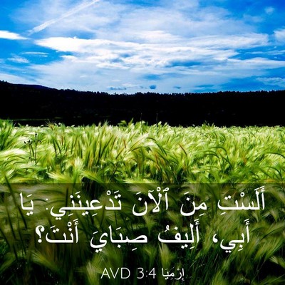 Picture 03 - إِرْمِيَا 3:4 AVD - أَلَسْتِ مِنَ ٱلْآنَ - Bible Verse Picture