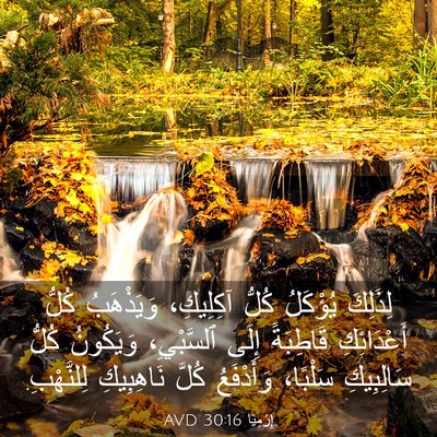 Picture 03 - إِرْمِيَا 30:16 AVD - لِذَلِكَ يُؤْكَلُ كُلُّ - Bible Verse Picture
