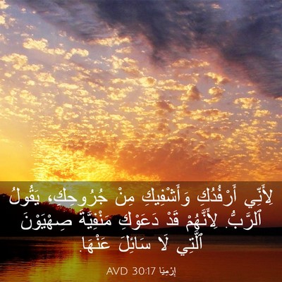 Picture 03 - إِرْمِيَا 30:17 AVD - لِأَنِّي أَرْفُدُكِ - Bible Verse Picture