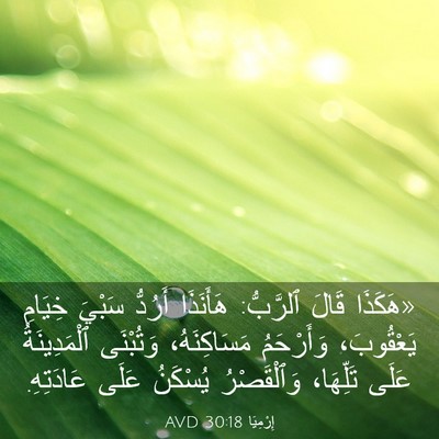 Picture 03 - إِرْمِيَا 30:18 AVD - «هَكَذَا قَالَ ٱلرَّبُّ: - Bible Verse Picture