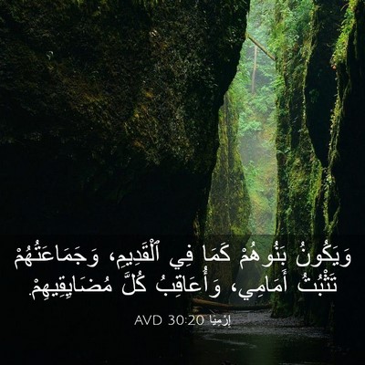 Picture 03 - إِرْمِيَا 30:20 AVD - وَيَكُونُ بَنُوهُمْ كَمَا - Bible Verse Picture