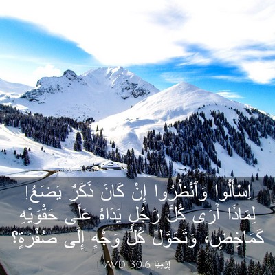 Picture 03 - إِرْمِيَا 30:6 AVD - اِسْأَلُوا وَٱنْظُرُوا - Bible Verse Picture