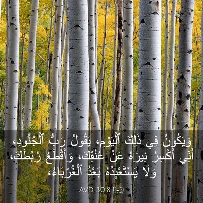 Picture 03 - إِرْمِيَا 30:8 AVD - وَيَكُونُ فِي ذَلِكَ - Bible Verse Picture