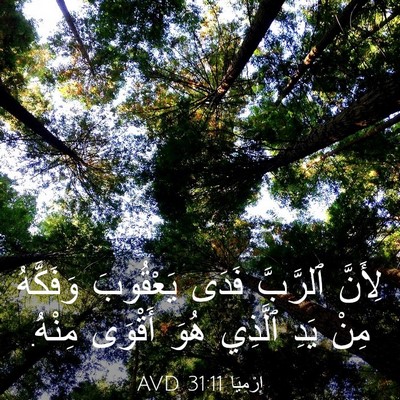 Picture 03 - إِرْمِيَا 31:11 AVD - لِأَنَّ ٱلرَّبَّ فَدَى - Bible Verse Picture
