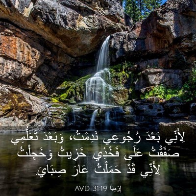 Picture 03 - إِرْمِيَا 31:19 AVD - لِأَنِّي بَعْدَ رُجُوعِي - Bible Verse Picture