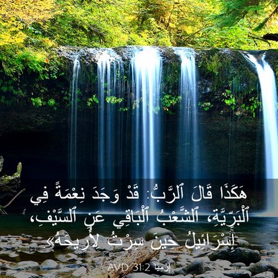 Picture 03 - إِرْمِيَا 31:2 AVD - هَكَذَا قَالَ ٱلرَّبُّ: - Bible Verse Picture