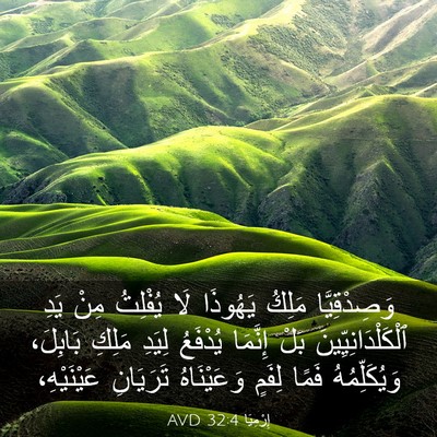 Picture 03 - إِرْمِيَا 32:4 AVD - وَصِدْقِيَّا مَلِكُ - Bible Verse Picture