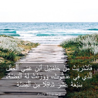 Picture 03 - إِرْمِيَا 32:9 AVD - فَٱشْتَرَيْتُ مِنْ - Bible Verse Picture