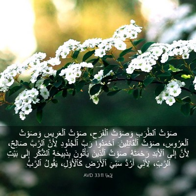 Picture 03 - إِرْمِيَا 33:11 AVD - صَوْتُ ٱلطَّرَبِ وَصَوْتُ - Bible Verse Picture