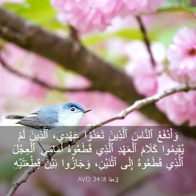Picture 03 - إِرْمِيَا 34:18 AVD - وَأَدْفَعُ ٱلنَّاسَ - Bible Verse Picture