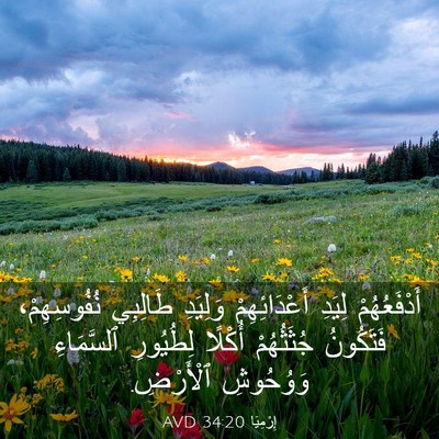 Picture 03 - إِرْمِيَا 34:20 AVD - أَدْفَعُهُمْ لِيَدِ - Bible Verse Picture