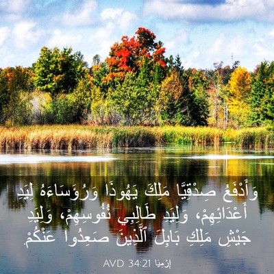 Picture 03 - إِرْمِيَا 34:21 AVD - وَأَدْفَعُ صِدْقِيَّا - Bible Verse Picture