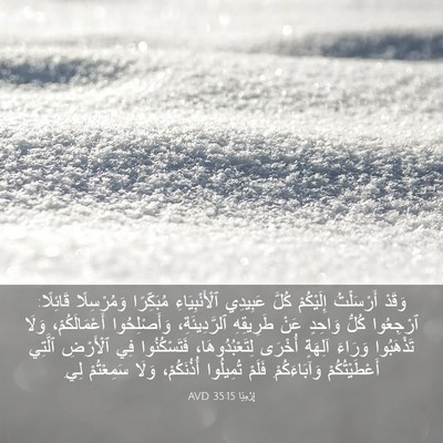 Picture 03 - إِرْمِيَا 35:15 AVD - وَقَدْ أَرْسَلْتُ - Bible Verse Picture