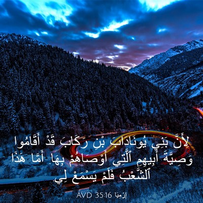 Picture 03 - إِرْمِيَا 35:16 AVD - لِأَنَّ بَنِي يُونَادَابَ - Bible Verse Picture